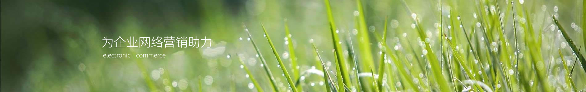 ݻ豸޹˾